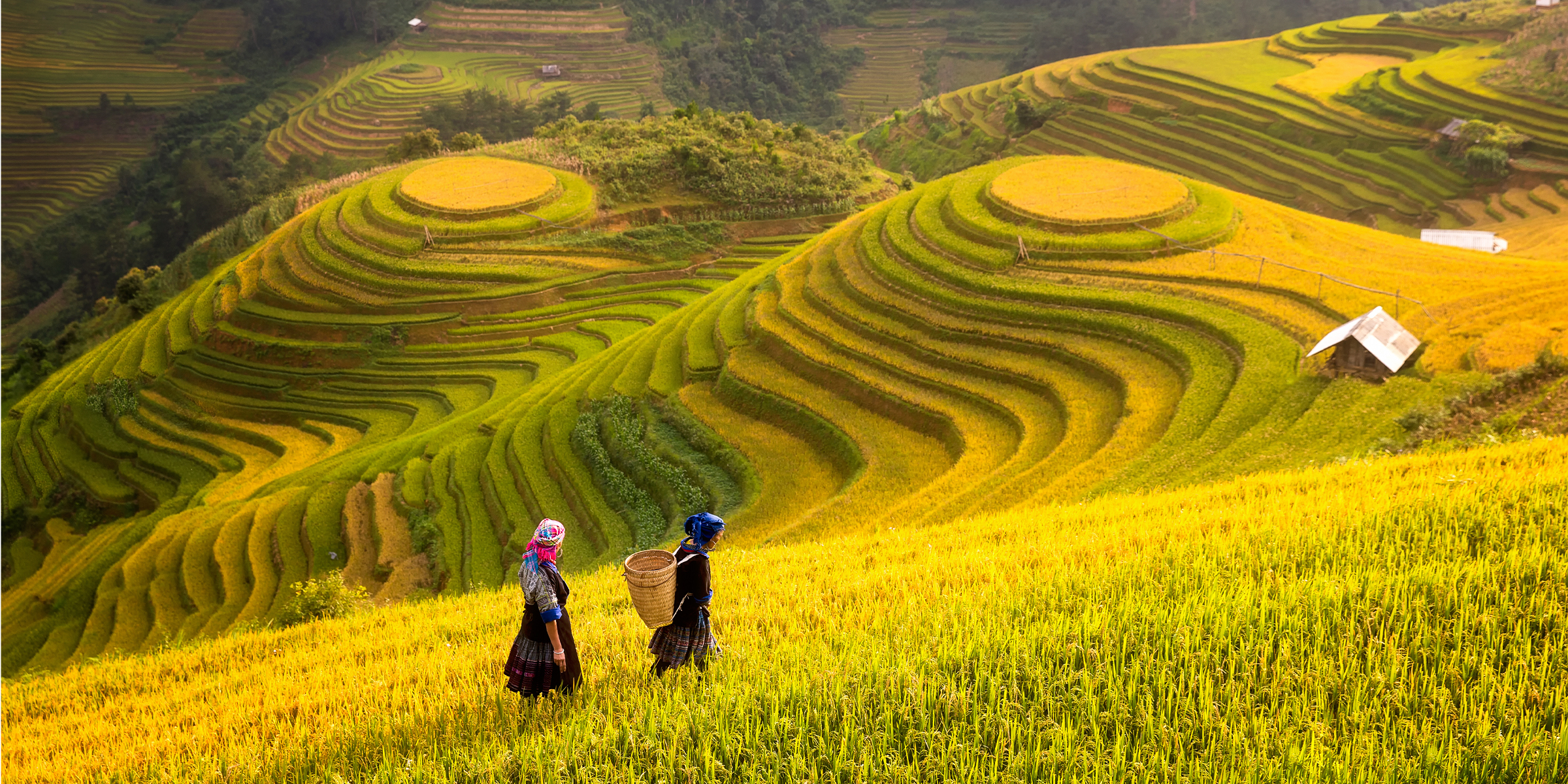 10 mẹo kinh doanh tại Việt Nam